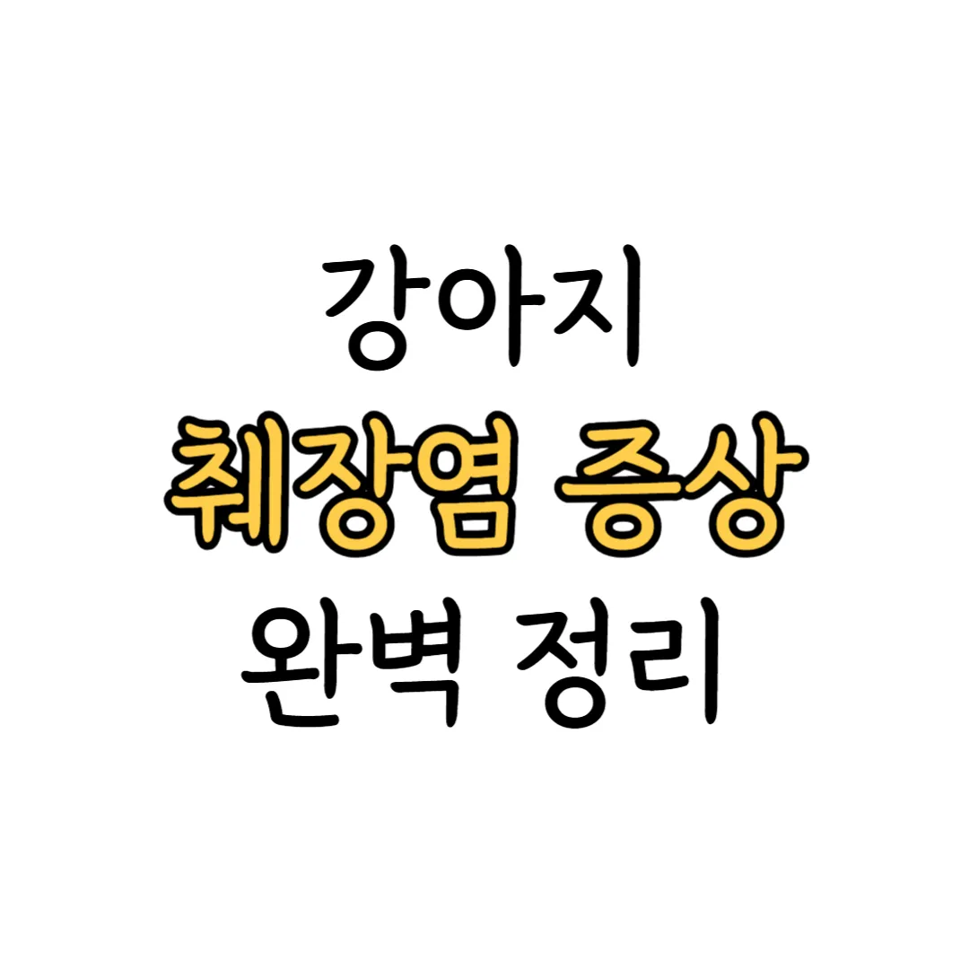 강아지 췌장염 증상 표지 이미지