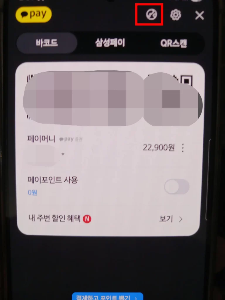 카카오페이 결제 메뉴 지구본 아이콘