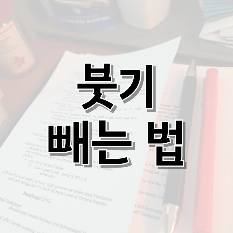붓기 빼는 법 표지 이미지