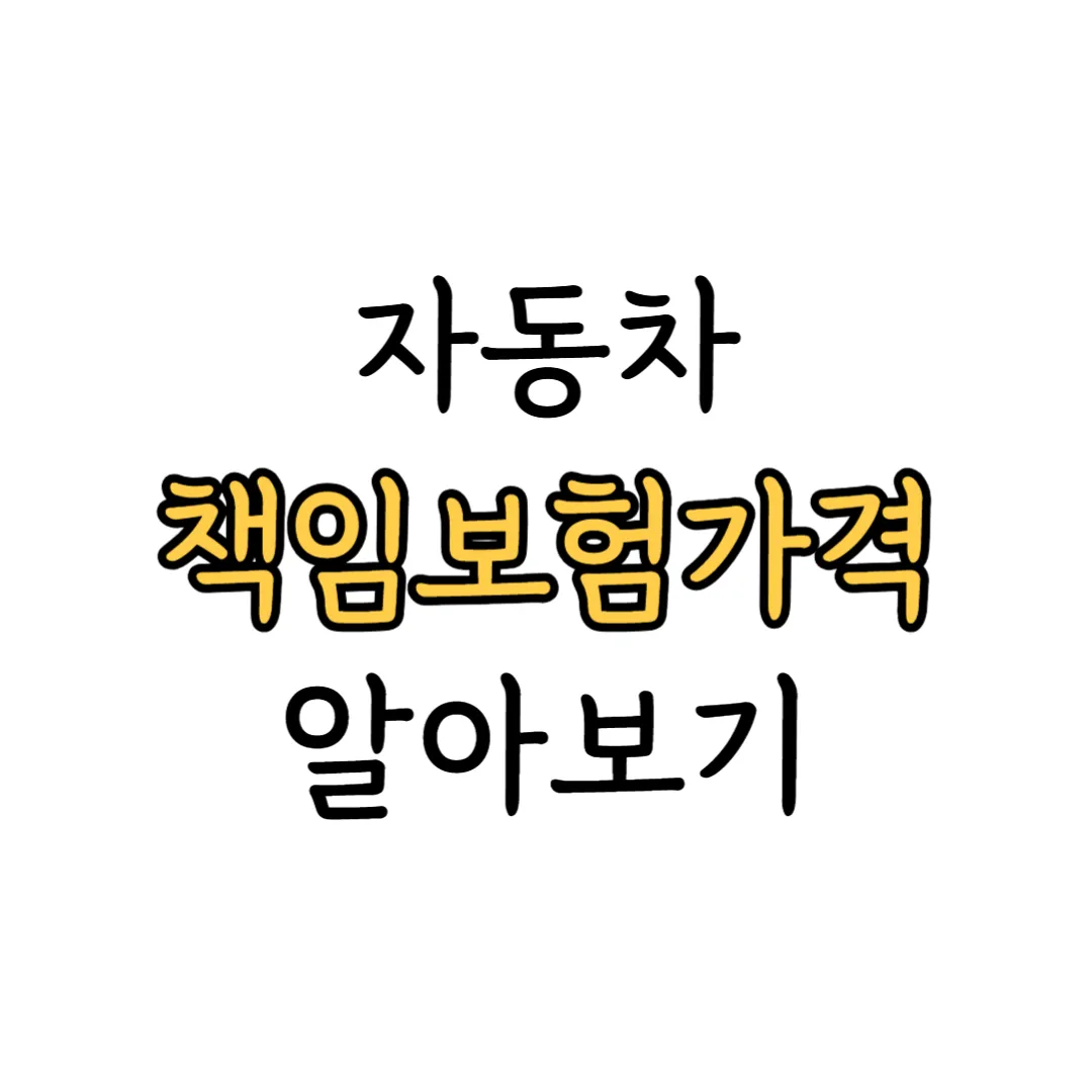 자동차 책임보험 가격 안내 이미지