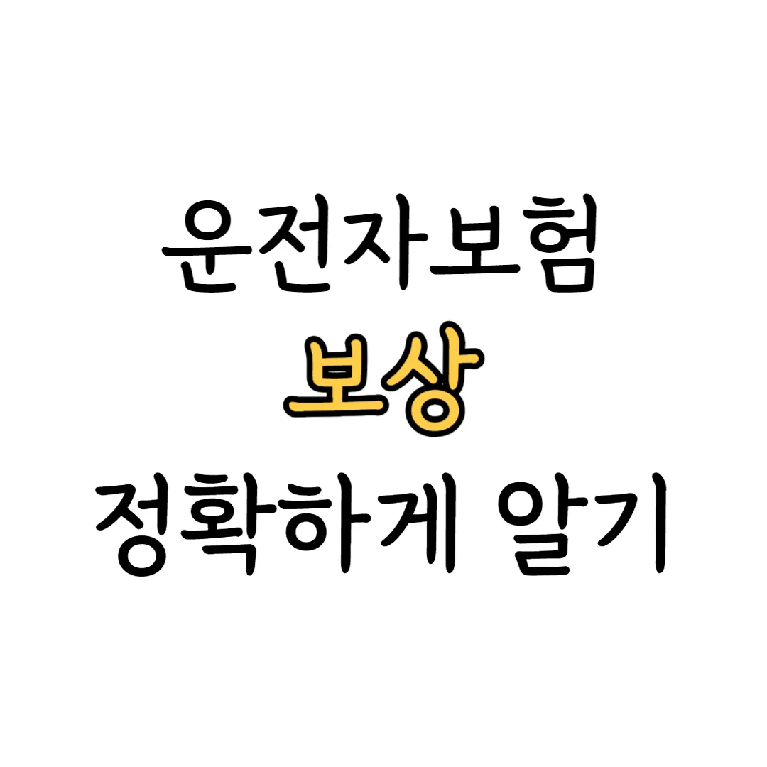 운전자보험 보상 표지 이미지