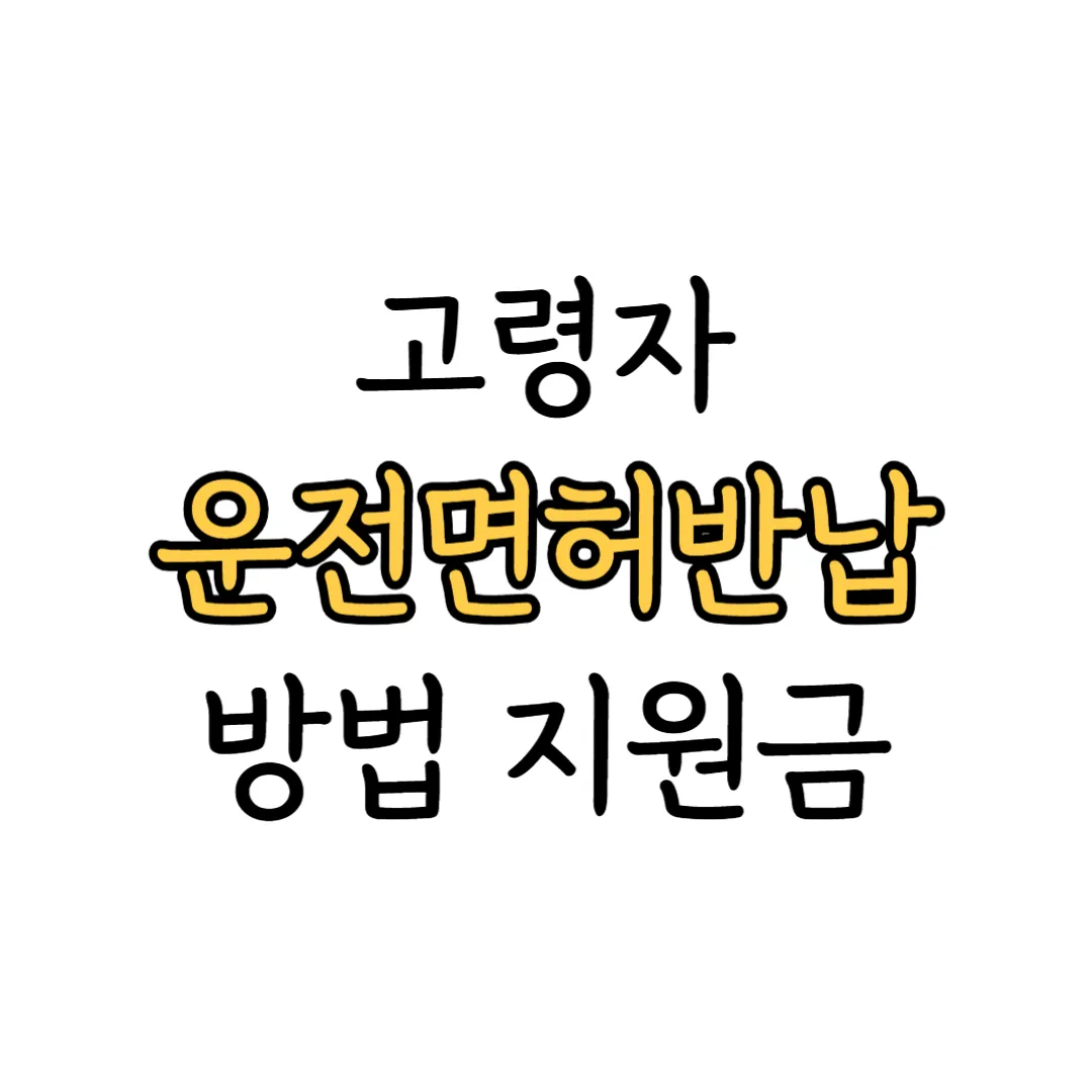 고령자 운전면허반납 안내 이미지