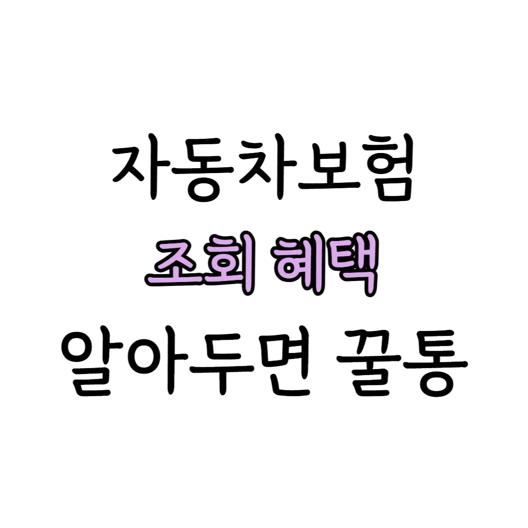 자동차보험 조회 혜택 표지 이미지