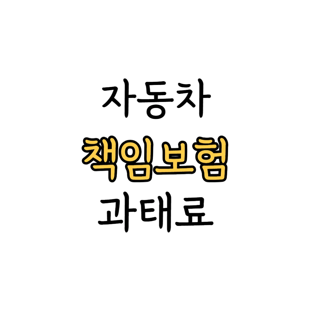 자동차 책임보험 과태료 표지 이미지