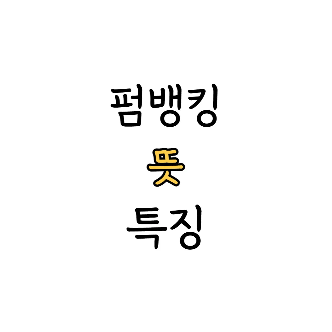 펌뱅킹 뜻 특징 표지 이미지
