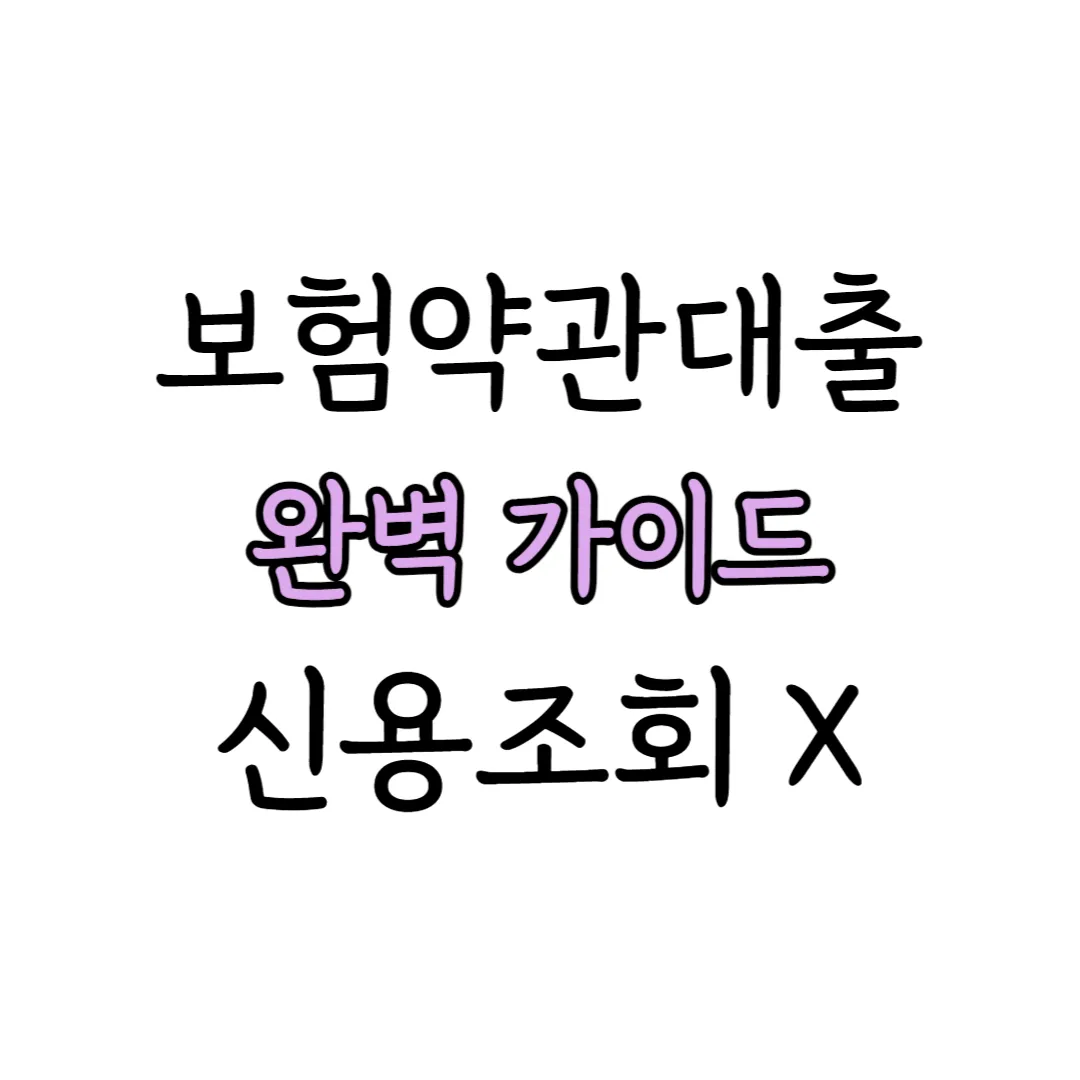 보험약관대출 표지 이미지
