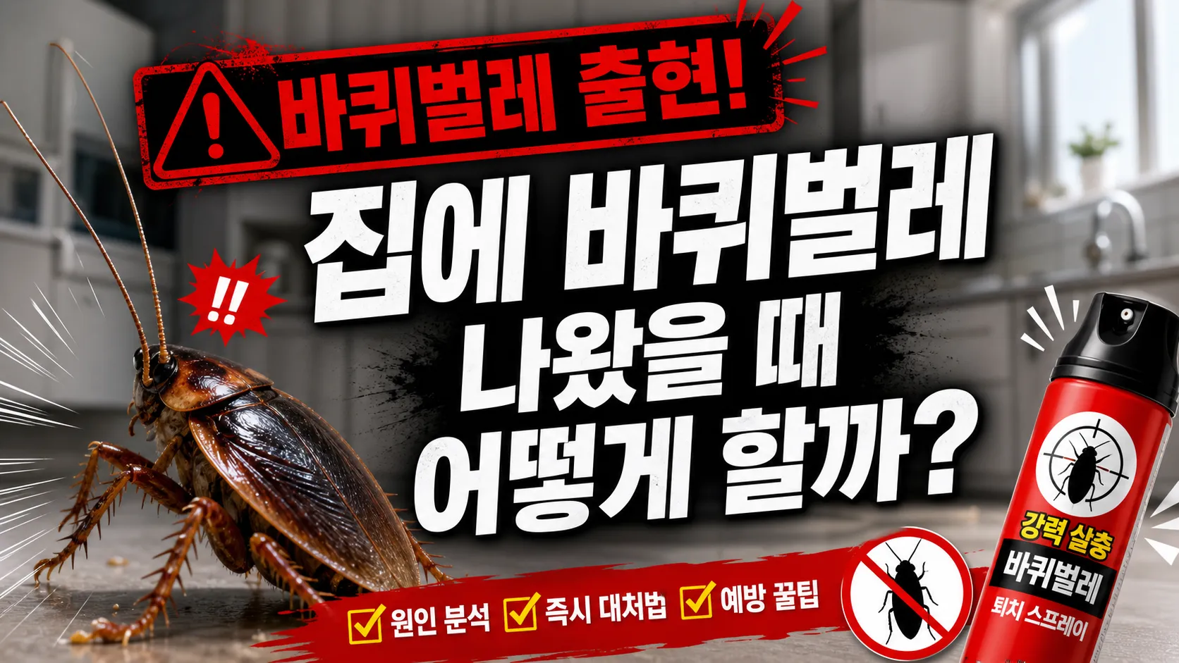 집에 바퀴벌레 나왔을 때 대처 가이드 배너