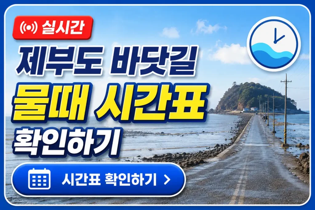 제부도 바닷길 물때 시간표 배너