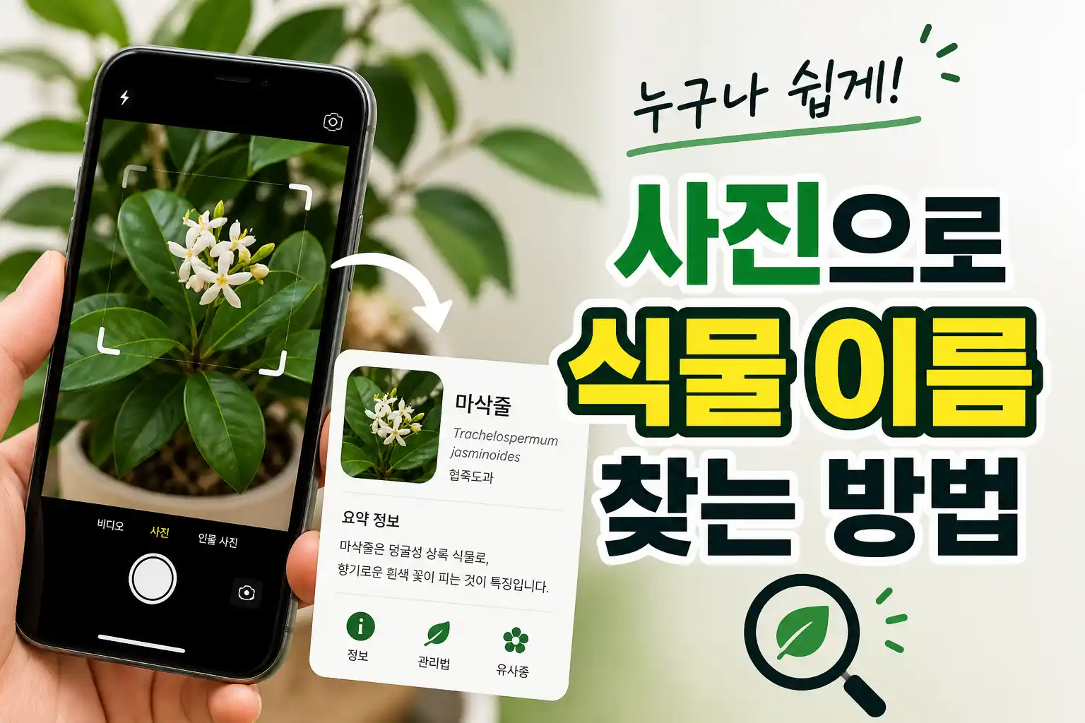 사진으로 식물 이름 찾기 가이드 배너