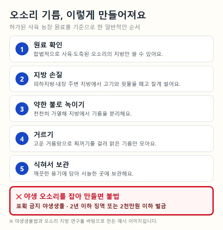 오소리 기름 채취 방법 5단계(원료 확인, 지방 손질, 약한 불로 녹이기, 거르기, 식혀 보관)와 야생 오소리를 잡아 만들면 불법이라는 내용을 빨간 박스로 강조한 안내 이미지