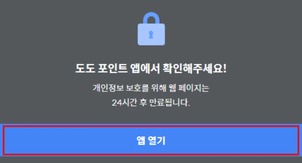 도도포인트 웹 조회 페이지의 24시간 후 만료 안내와 빨간색으로 표시한 앱 열기 버튼