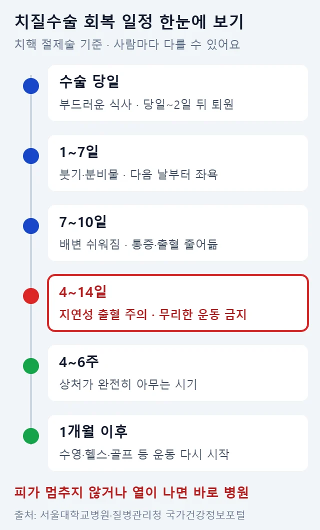 치질수술 당일부터 1개월 이후까지 회복 과정을 시간 순서로 정리하고 수술 후 4~14일 지연성 출혈 주의 구간을 빨간색으로 강조한 일정표