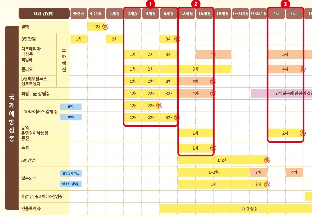 질병관리청 어린이 국가예방접종 표준 일정표에서 생후 2·4·6개월, 12~15개월, 만 4~6세 접종 구간을 빨간 테두리로 표시한 그림