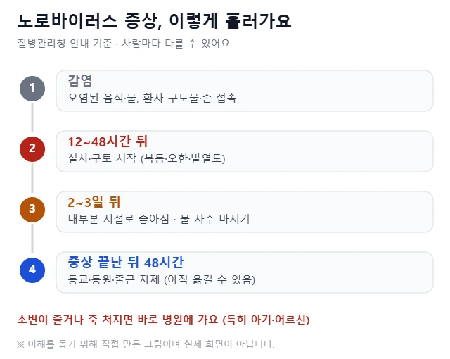 노로바이러스 감염 후 12~48시간 뒤 설사·구토 시작, 2~3일 뒤 대부분 회복, 증상이 끝난 뒤 48시간 등교·출근 자제 순서를 단계별로 그린 그림