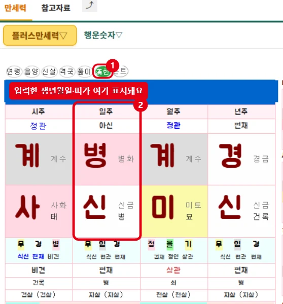 플러스만세력 결과 화면에서 한자 한글 전환 버튼과 나를 뜻하는 일주 칸을 빨간 테두리로 표시한 화면