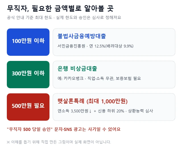 무직자가 100만원 이하는 불법사금융예방대출, 300만원 이하는 은행 비상금대출, 500만원이 필요하면 햇살론특례를 알아보라는 내용을 정리한 그림