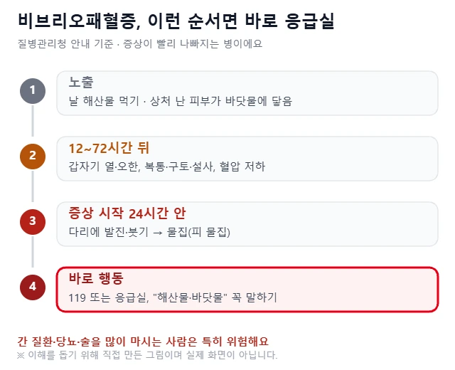 날 해산물 섭취나 바닷물 상처 노출 후 12~72시간 뒤 발열·오한, 24시간 안 다리 발진·부종·물집, 바로 119나 응급실로 가는 순서를 단계별로 그린 그림