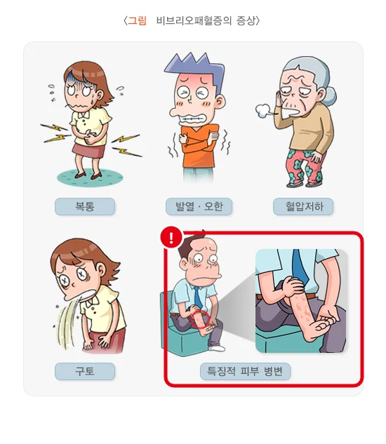 질병관리청 국가건강정보포털의 비브리오패혈증 증상 그림으로 복통, 발열·오한, 혈압저하, 구토, 다리에 생기는 특징적 피부 병변 중 피부 병변 부분을 빨간 테두리로 표시한 모습