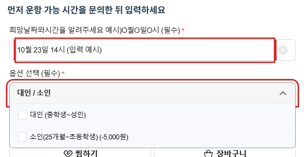 여수 섬박람회 요트투어 예약 상품의 희망 날짜 시간 입력칸과 대인 소인 선택을 빨간색으로 강조한 예시